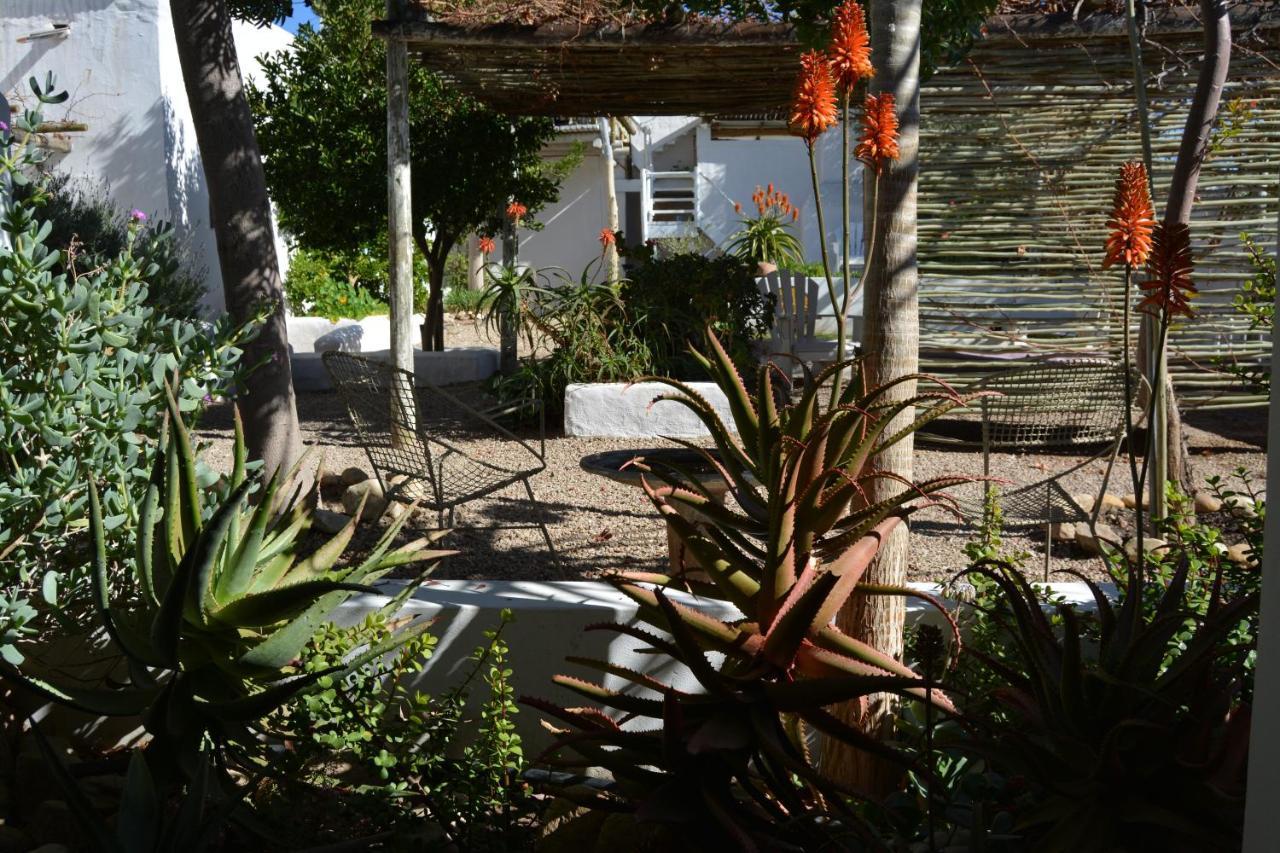 Ta Mala'S Cottage Prince Albert Exterior photo